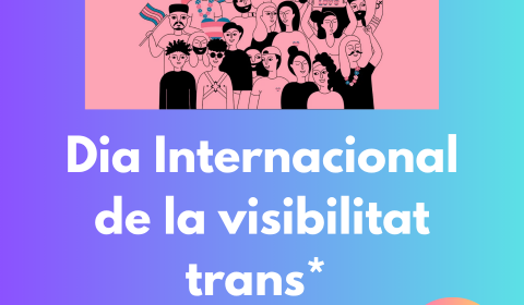 31 de març DI visibilitat trans